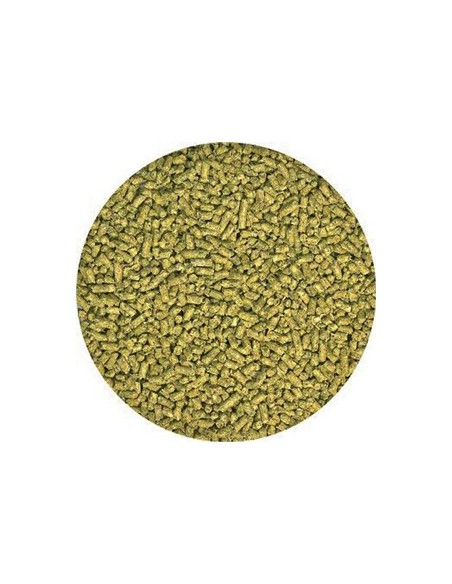 Alimentation naturelle pour Jeune Pogona 560 grammes Natural juvenile bearded dragon food