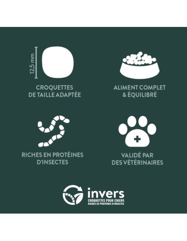 Croquettes aux insectes pour chien petite taille - sac 4Kg