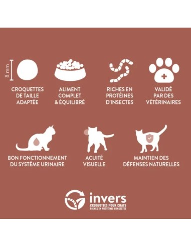 Croquettes aux insectes pour chat adulte stérilisé ou non - sac 3Kg