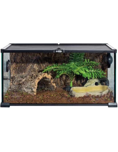 Plat de nourriture Repti Zoo taille moyenne pour reptiles