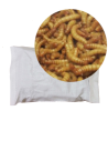 Vers de farine grand pour reptiles et pour oiseaux sac 1Kg