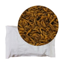 Vers de farine mini (taille 0,5 à 0,9 cm) en sac de 1 litre