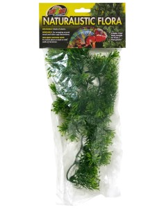 Plante Borneo Star déco pour terrarium 56cm