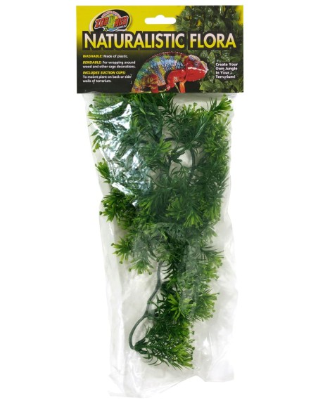 Plante Borneo Star déco pour terrarium 56cm