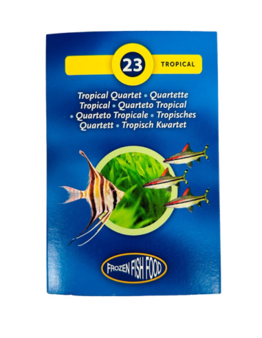 TROPICAL QUARTET congelés, nourriture naturelle pour poissons en plaquette de 95g