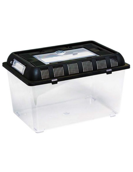 Terrarium de transport XL 32,5 x 22 x21 cm de Repti Zoo