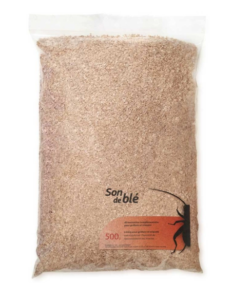 Son de blé 500g, substrat naturel pour insectes
