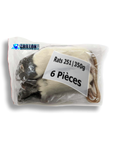 Un sacs Litière Aspen 26.4L Zoo Med & 6 rats +251g congelés