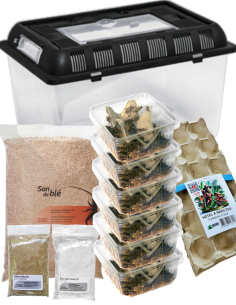 Le Kit éleveur d'insectes - 6 boites grillons domestiques avec son terrarium complet