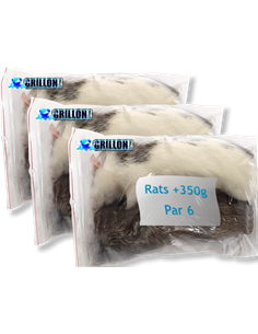 Rats congelés Taille XXXL +350g | Pack 3 sachets de 2 | (*) Règl. CEE