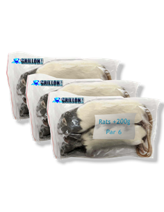 Rats congelés Taille XL 201 à 250g | Pack 3 sachets de 2 | (*) Règl. CEE