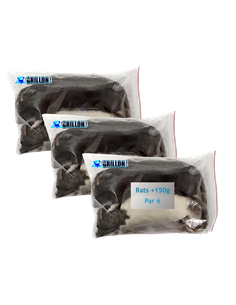 Rats congelés Taille XL 151 à 250g | Pack 3 sachets de 2 | (*) Règl. CEE