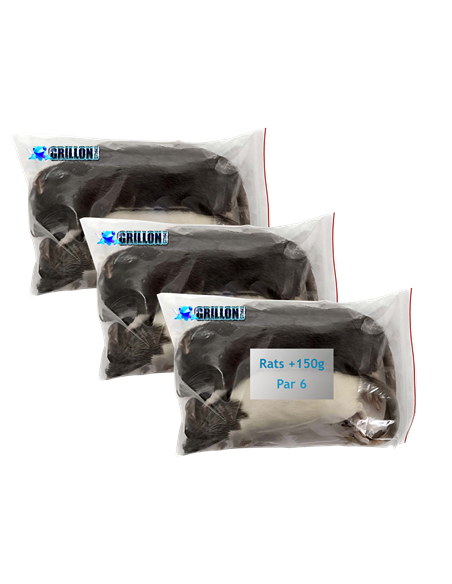 Rats congelés Taille XL 151 à 250g | Pack 3 sachets de 2 | (*) Règl. CEE
