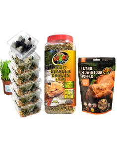 Menu Pogona Adultes : Pack Complet 1 mois, Criquet et Dubia Subadultes, Granulés et Complément Floral ZooMed