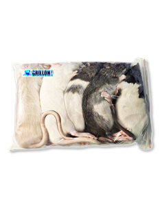 Rats congelés Taille L 91 à 150g | Sachet de 5 | (*) Règl. CEE