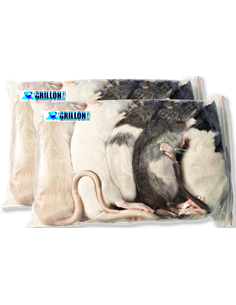 Rats congelés Taille L 91 à 150g par 10  | Pack 2 sachets de 5 | (*) Règl. CEE