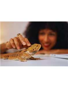 Prébiotique et probiotiques pour reptiles Electrolyte Soak de Zoo Med 2