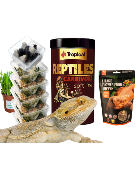 Menu Pogona Adultes : Pack Complet 1 mois de nourriture
