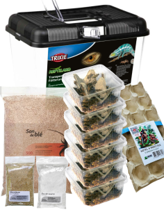 Le Kit éleveur d'insectes - 6 boites grillons domestiques avec son terrarium complet