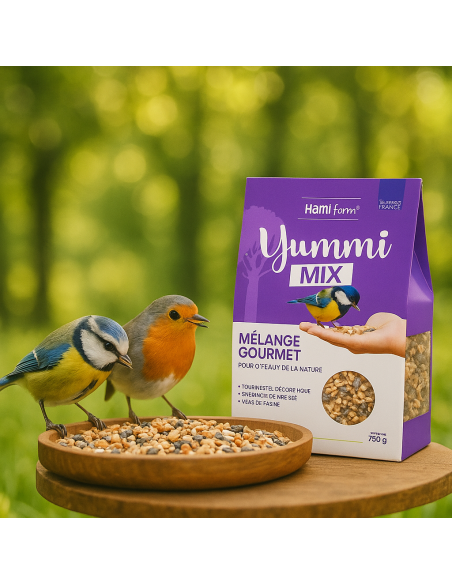 graine pour oiseaux du ciel