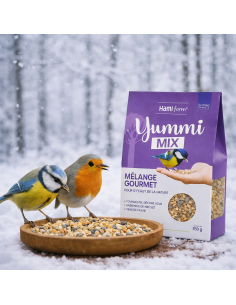 Graines Oiseaux - Yummi mix - Mélange gourmet - pour Oiseaux du Ciel