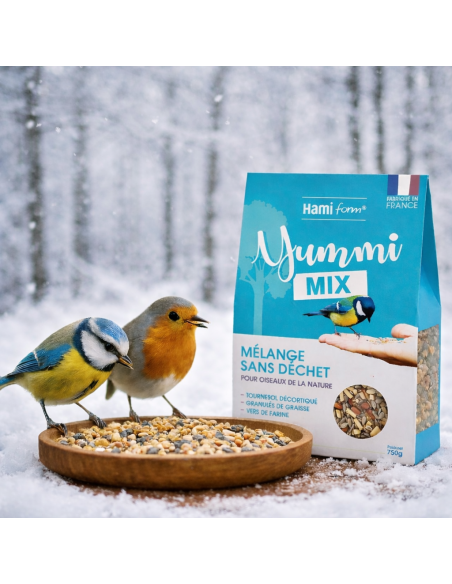 graines pour oiseau du ciel yummi mix hamiform