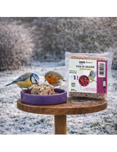 pain de graisse oiseaux du ciel aux fruits rouges