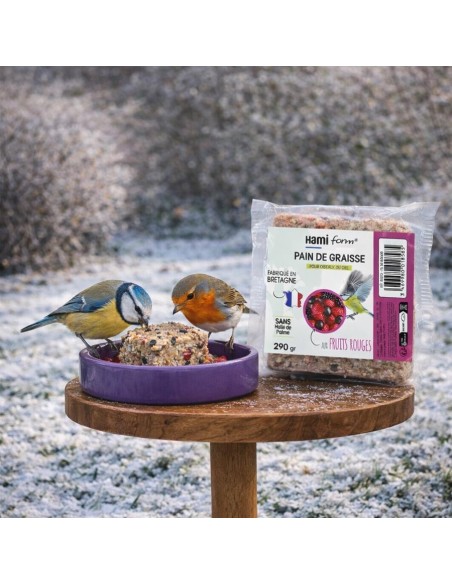 pain de graisse oiseaux du ciel aux fruits rouges