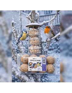 boule de graisse baie et insectes