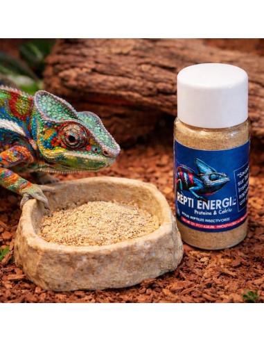 REPTIENERGIE ALIMENT COMPLEMENTAIRE POUR REPTILE