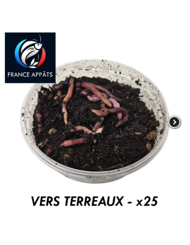 Vers de Terreau Boîte de 25 | Appât Vivant Pêche Eau Douce