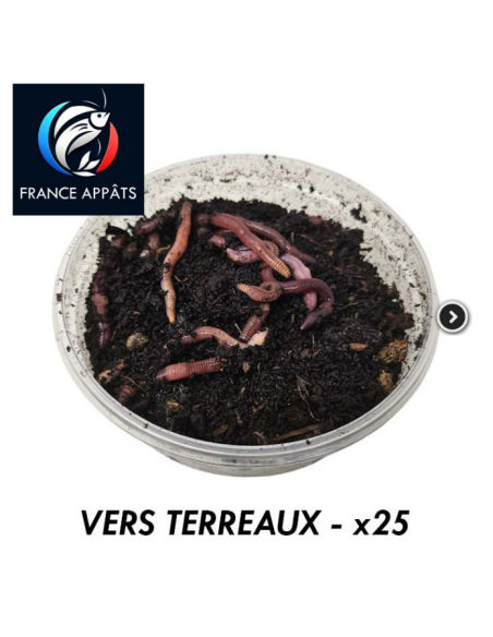 Vers de Terreau Boîte de 25 | Appât Vivant Pêche Eau Douce