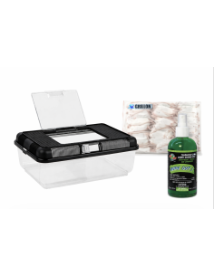 Pack terrarium serpent complet – boîte transport reptile 38x24x14, souris XL 23-30g, désinfectant terrarium Wipe Out 1