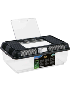 Pack terrarium serpent complet – boîte transport reptile 38x24x14, souris XL 23-30g, désinfectant terrarium Wipe Out 1 2