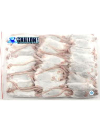 Pack terrarium serpent complet – boîte transport reptile 38x24x14, souris XL 23-30g, désinfectant terrarium Wipe Out 1