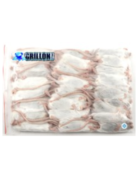 Pack terrarium serpent complet – boîte transport reptile 38x24x14, souris XL 23-30g, désinfectant terrarium Wipe Out 1