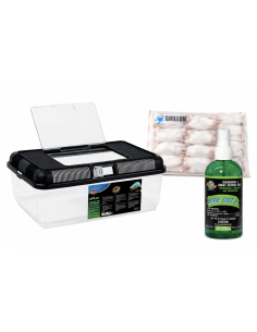 Pack terrarium serpent complet – boîte transport reptile 38x24x14, souris XL 23-30g, désinfectant terrarium Wipe Out 1