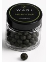 Perles de Spiruline pour Crevettes, Poissons & Invertébrés | Fabriquées en France| Aliment Premium