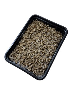 Larves de BSF Congelées 1L | Hermetia Illucens pour Reptiles, Poissons et Poules