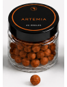 Boules d'Artémia pour Crevettes – 20 Perles Premium