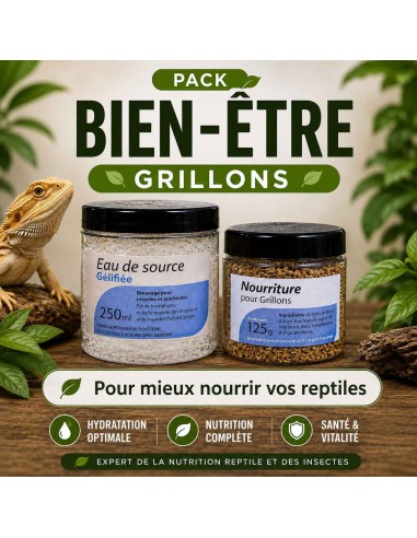Kit Bien être Grillons Eau Gelifiée + Nourriture Grillon pour mieux nourrir vos reptiles