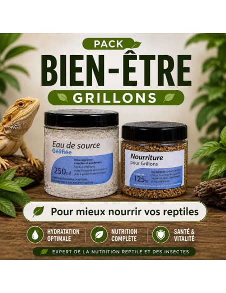 Kit Bien être Grillons Eau Gelifiée + Nourriture Grillon pour mieux nourrir vos reptiles