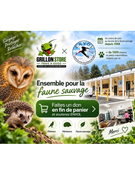 Grillonstore soutient ENVOL et la faune sauvage