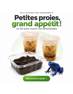 pack nourriture dendrobates