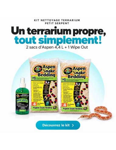 kit nettoyage petit serpent type elaphe serpent des blés