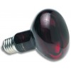 Lampe de nuit infrarouge Zoo Med pour terrarium