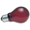 Lampe nocturne rouge 40W Zoo Med pour terrarium