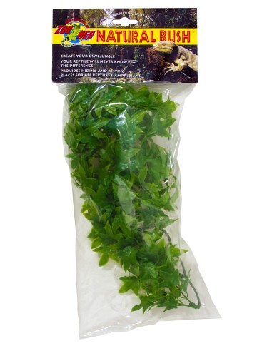 Plante Congo Ivy déco pour terrarium 46cm