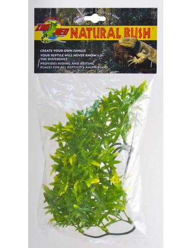 Plante Bolivian Croton déco pour terrarium 46cm