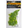 Plante Bolivian Croton déco pour terrarium 46cm